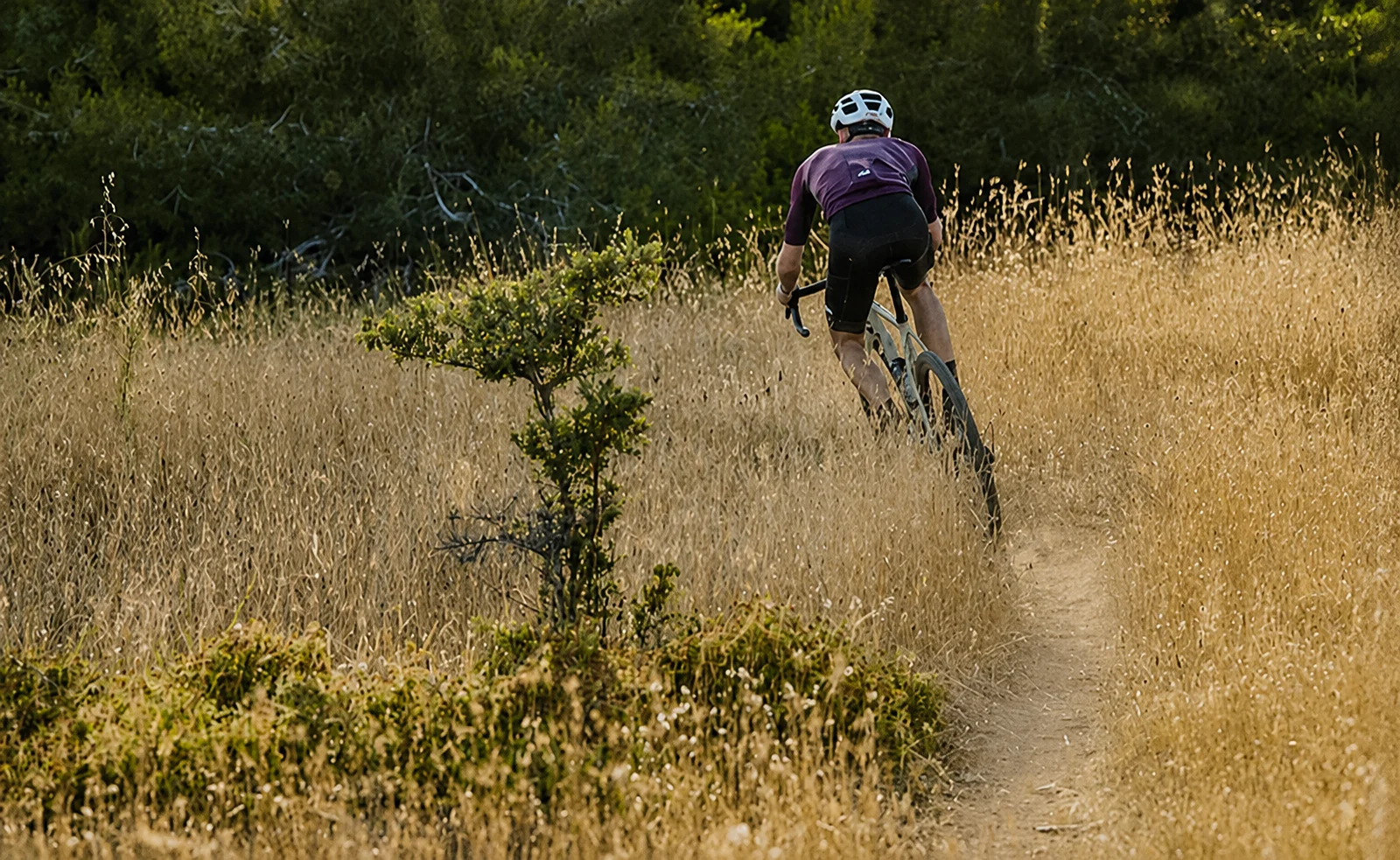 Condor Cycles bicycle being ridden on a trail